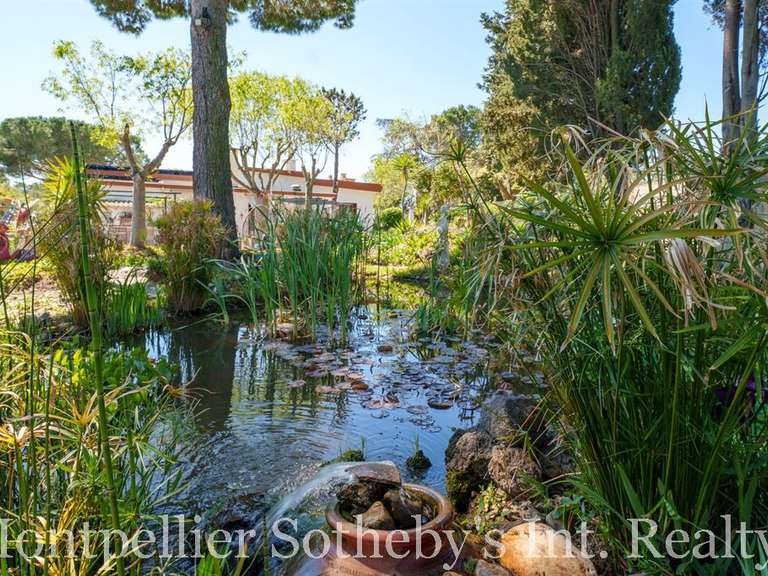 Maison Béziers - 4 chambres - 295m²