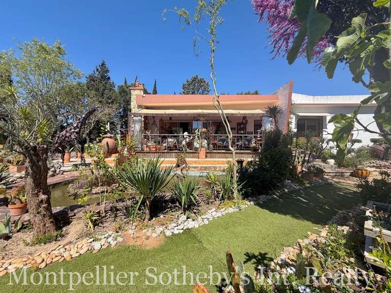 Maison Béziers - 4 chambres - 295m²