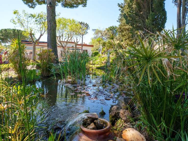 House Béziers - 4 bedrooms - 295m²