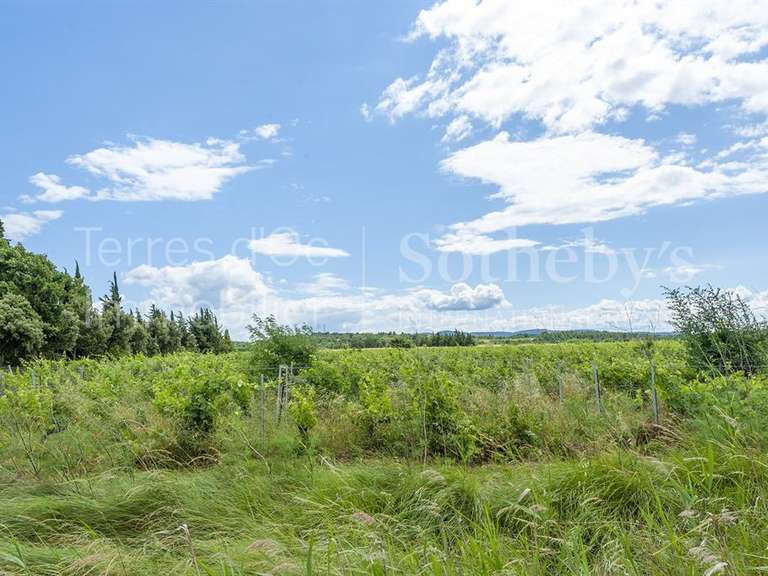 Château Bizanet - 20 chambres - 7000m²