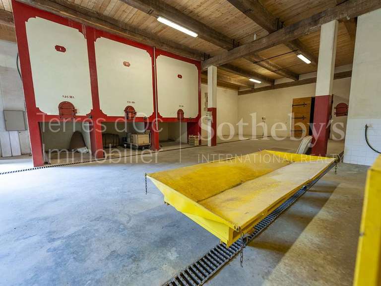 Château Bizanet - 20 chambres - 7000m²