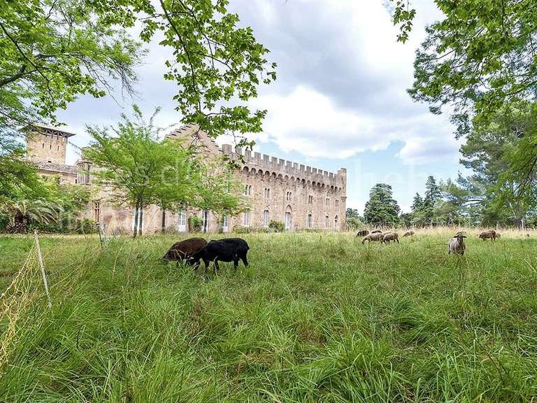 Château Bizanet - 20 chambres - 7000m²