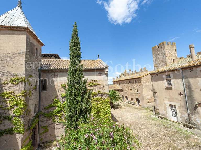 Château Bizanet - 20 chambres - 7000m²