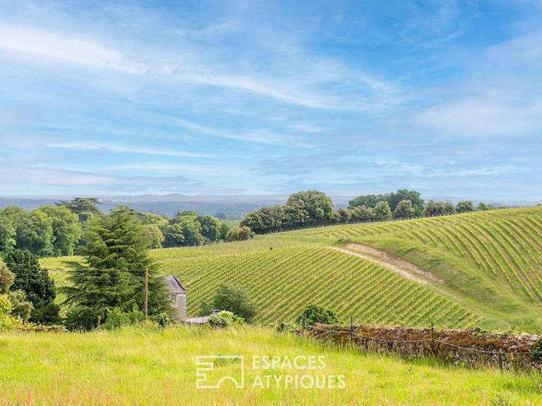 House Blaison-Saint-Sulpice - 3 bedrooms