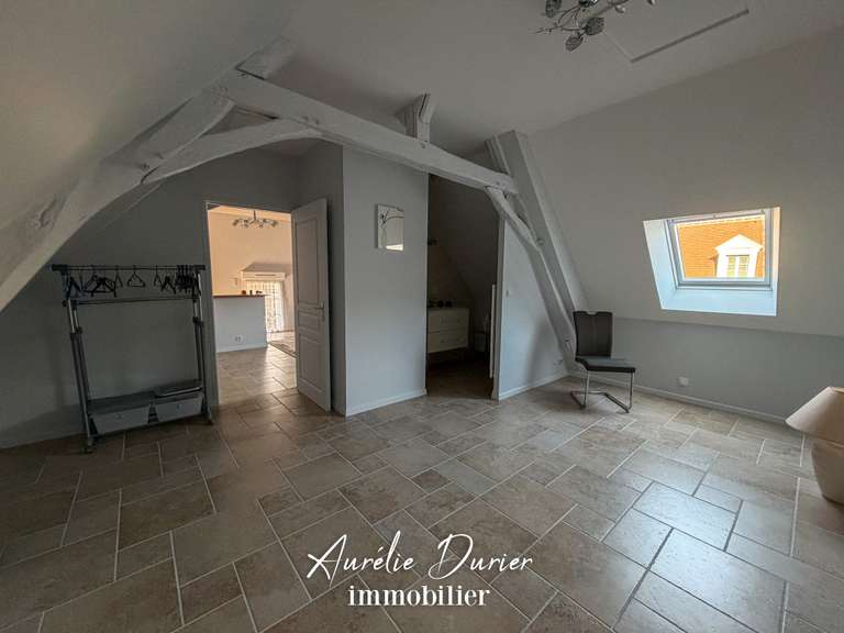 Maison Bléré - 7 chambres - 501m²