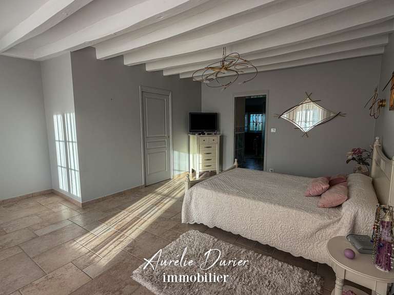 Maison Bléré - 7 chambres - 501m²