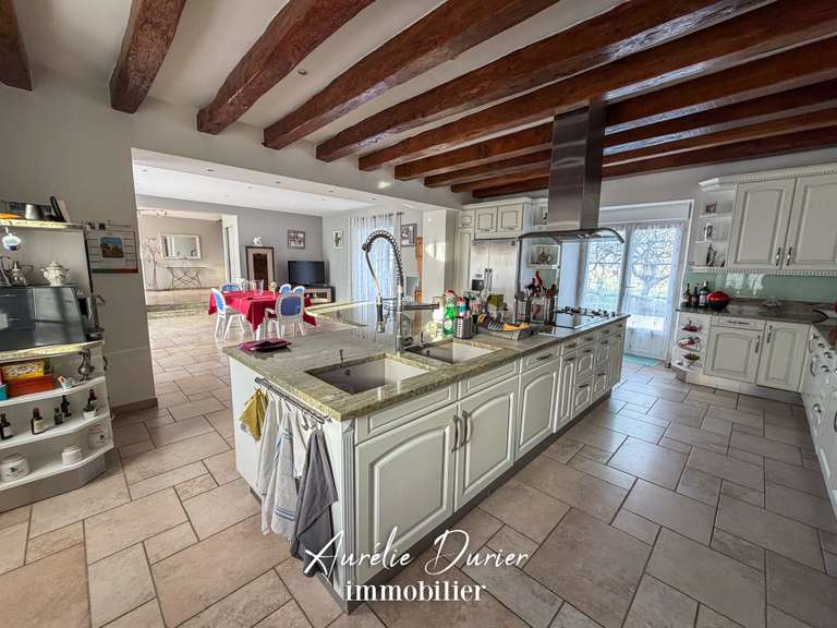 Maison Bléré - 7 chambres - 501m²