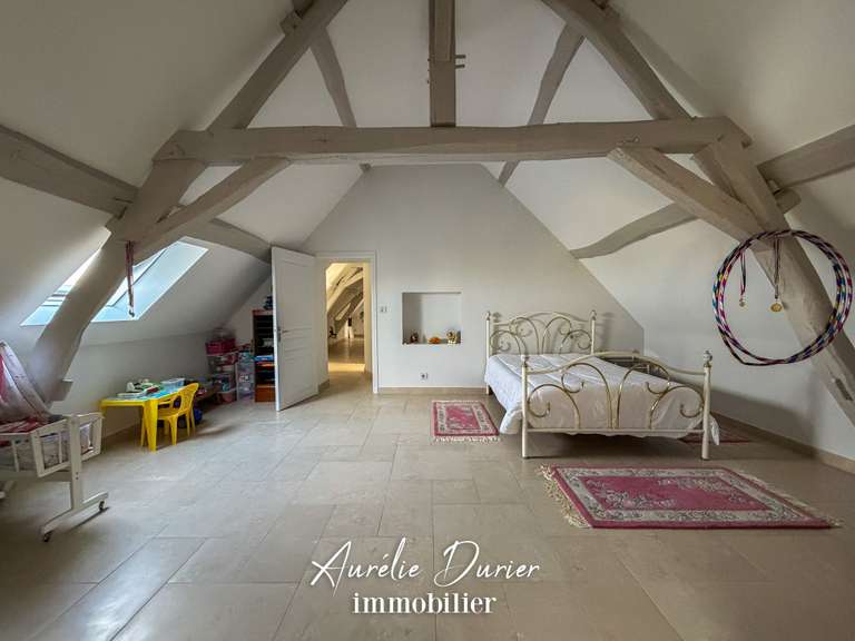 Maison Bléré - 7 chambres - 501m²