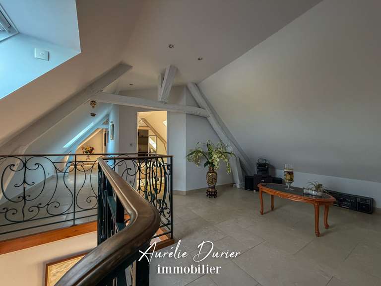 Maison Bléré - 7 chambres - 501m²