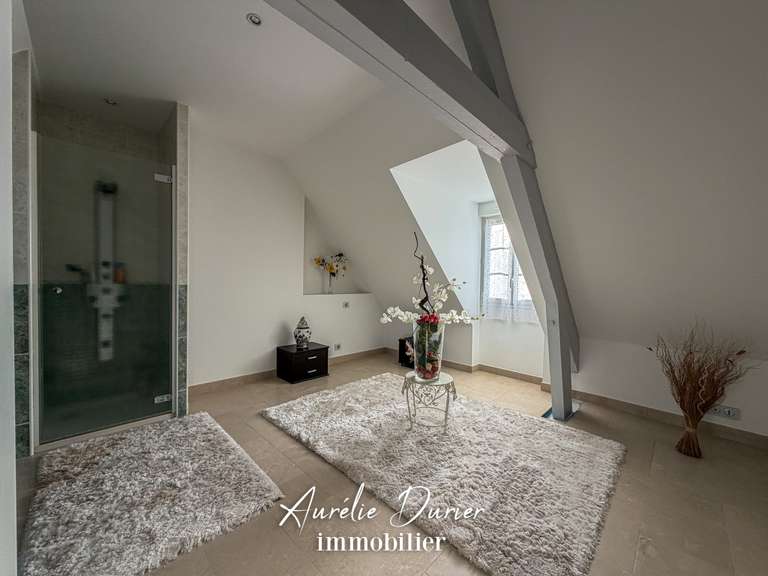 Maison Bléré - 7 chambres - 501m²