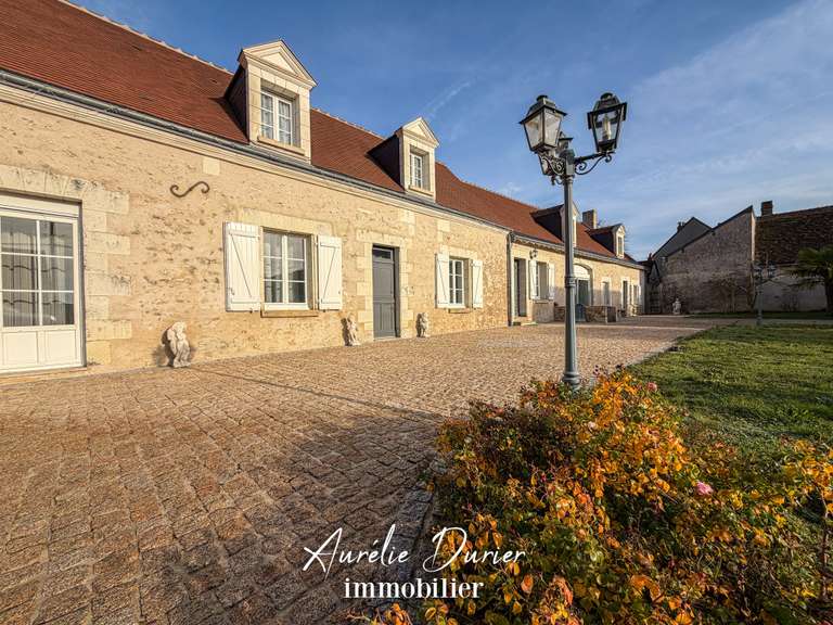 Maison Bléré - 7 chambres - 501m²