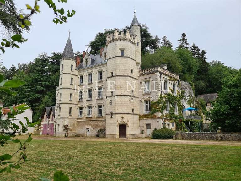 Ch teau Su vres Vente De Luxe BellesPierres ch-teau-su-vres-vente-de-luxe-bellespierres