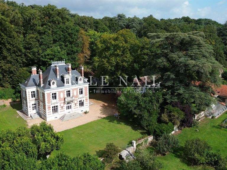 Castle Blois - 8 bedrooms - 560m²