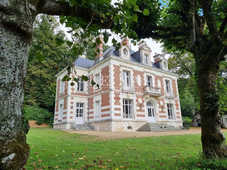 Castle Blois - 8 bedrooms - 560m²