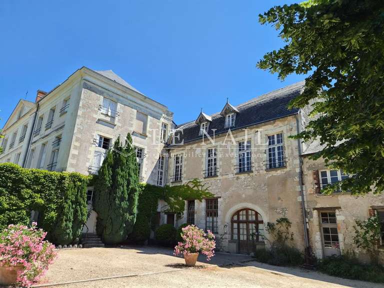 Château Blois - 20 chambres - 1000m²