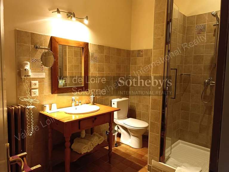 House Blois - 8 bedrooms - 292m²