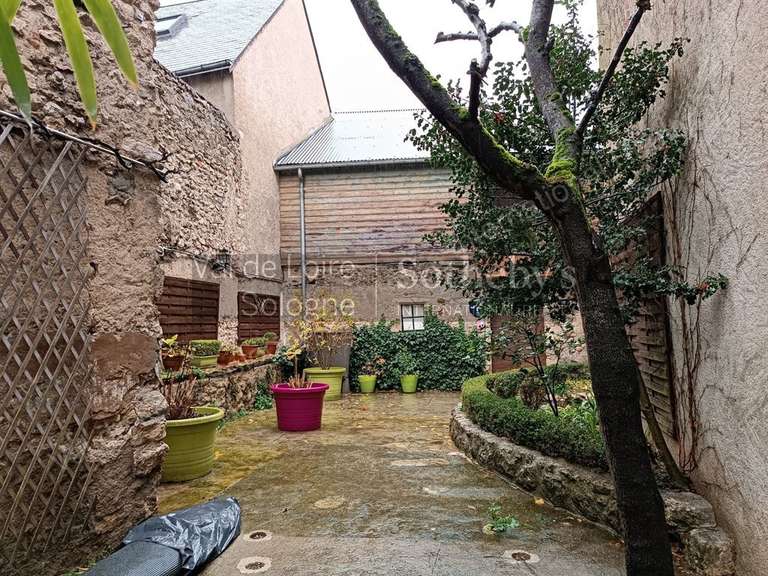 House Blois - 8 bedrooms - 292m²