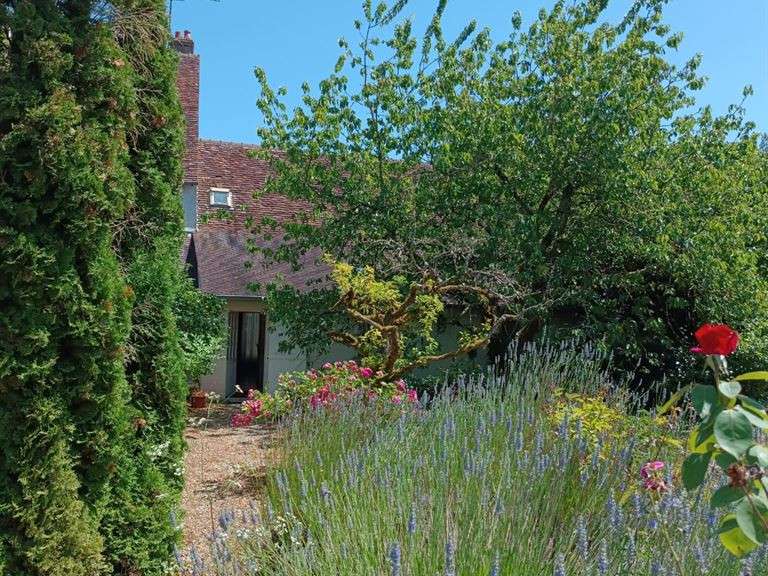 Maison Blois - 6 chambres - 410m²