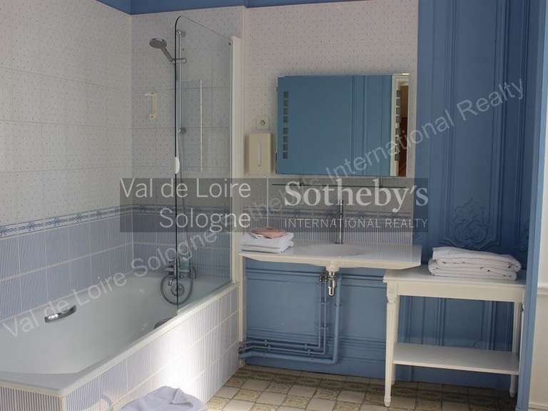 Manoir Blois - 8 chambres - 630m²