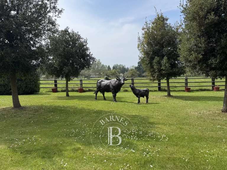 Maison Blonville-sur-Mer - 5 chambres - 310m²