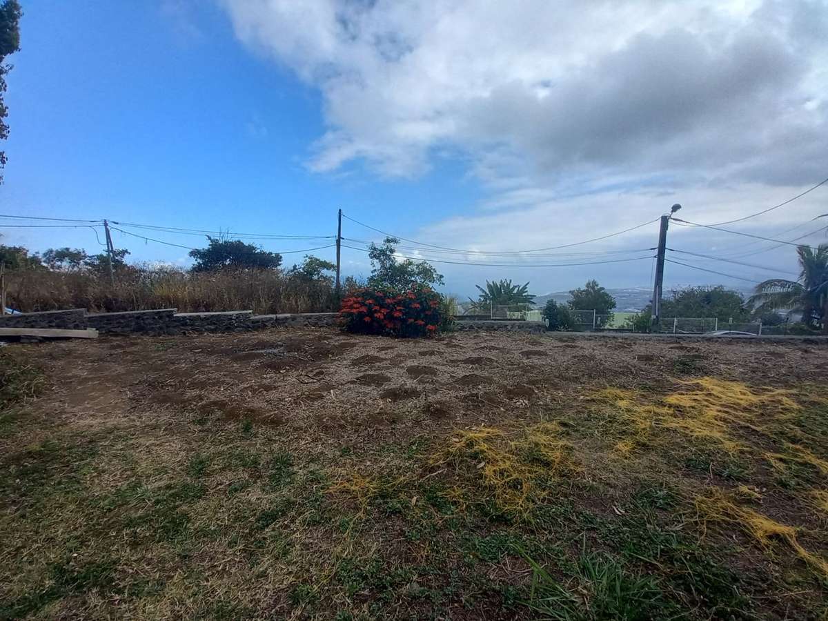 Terrain Bois-de-nefles-saint-denis