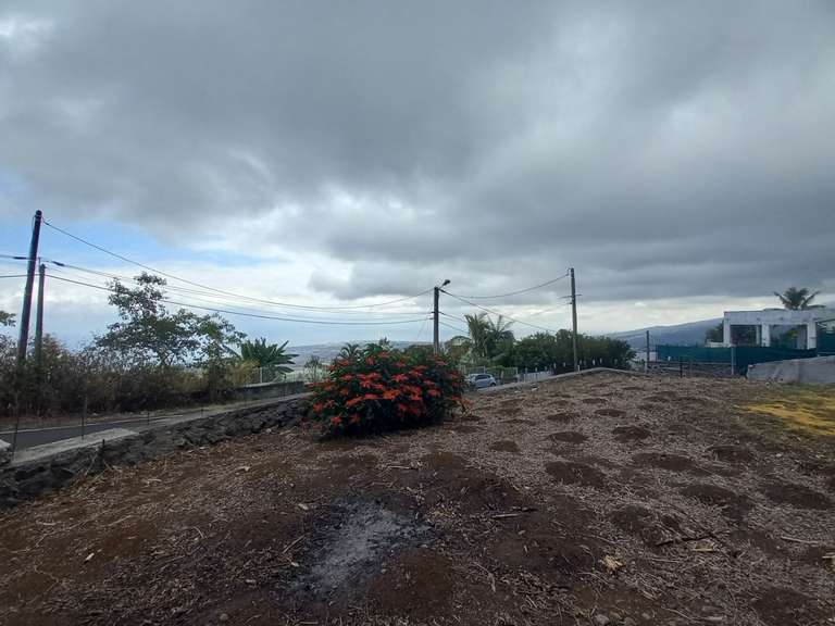 Terrain Bois-de-nefles-saint-denis - 60m²