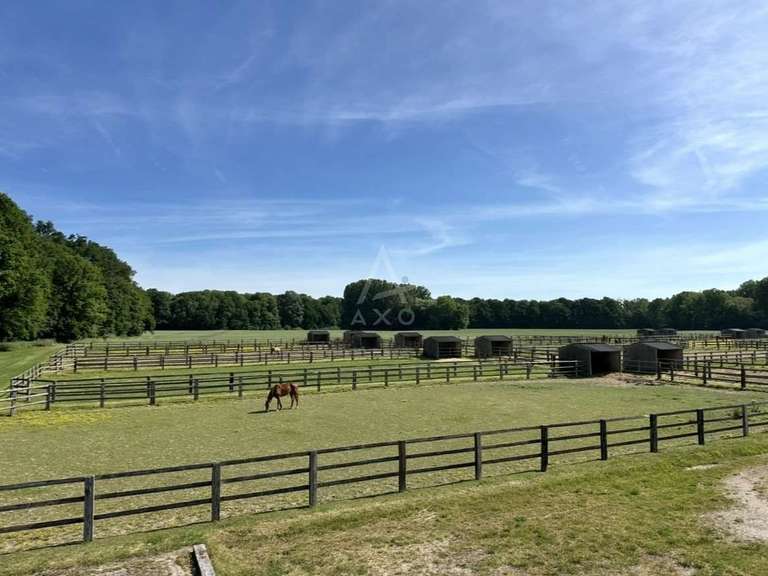 Maison Boissy-Saint-Léger - 14 chambres