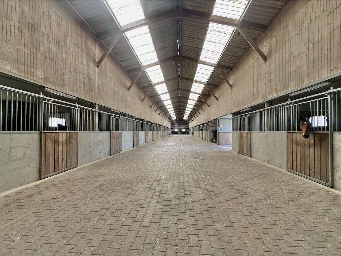 House Boissy-Saint-Léger