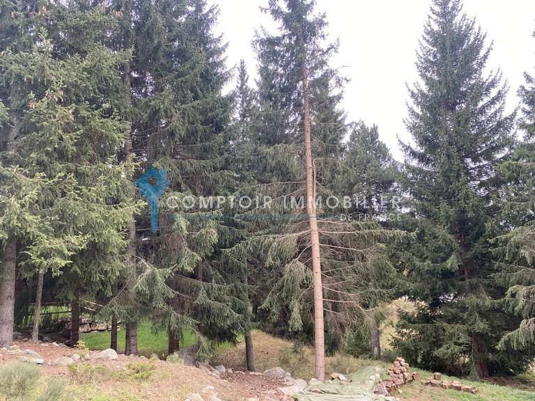 Maison Bolquère - 2 chambres - 49m²