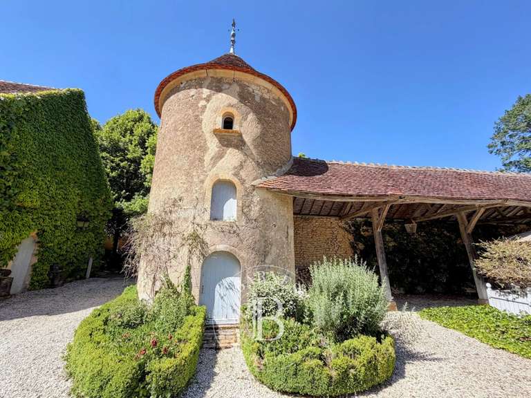 Château Bona - 8 chambres - 615m²