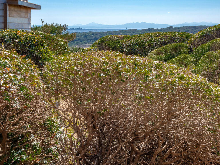 Appartement avec Vue mer Bonifacio - 1 chambre