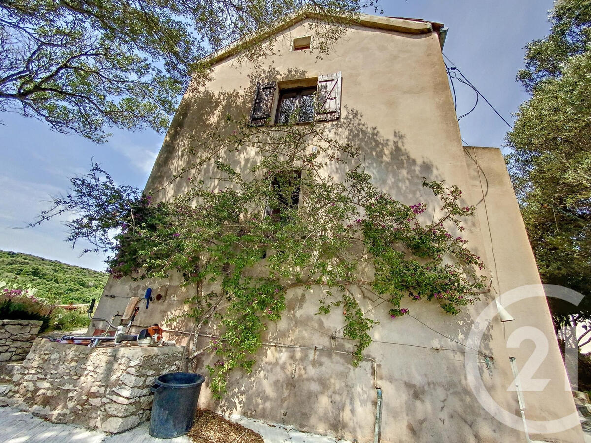 House Bonifacio