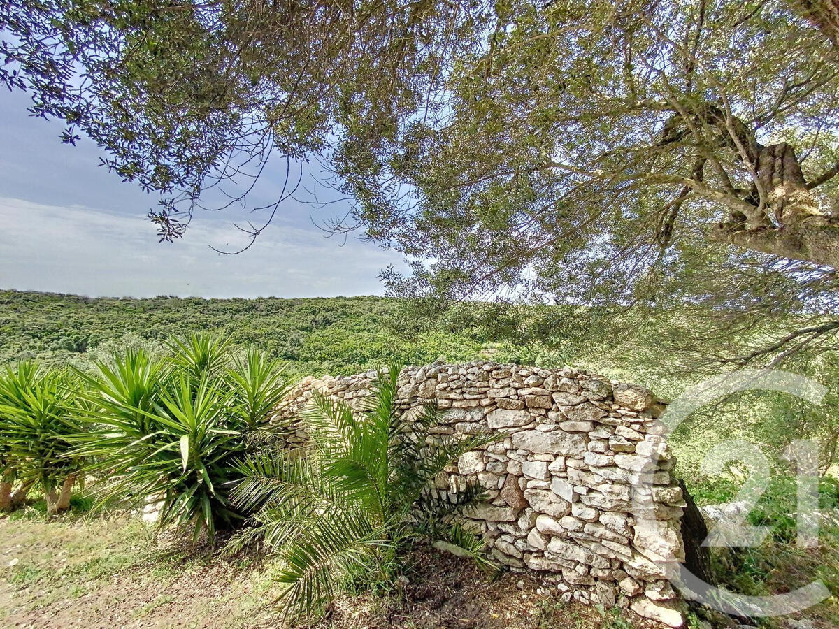 House Bonifacio