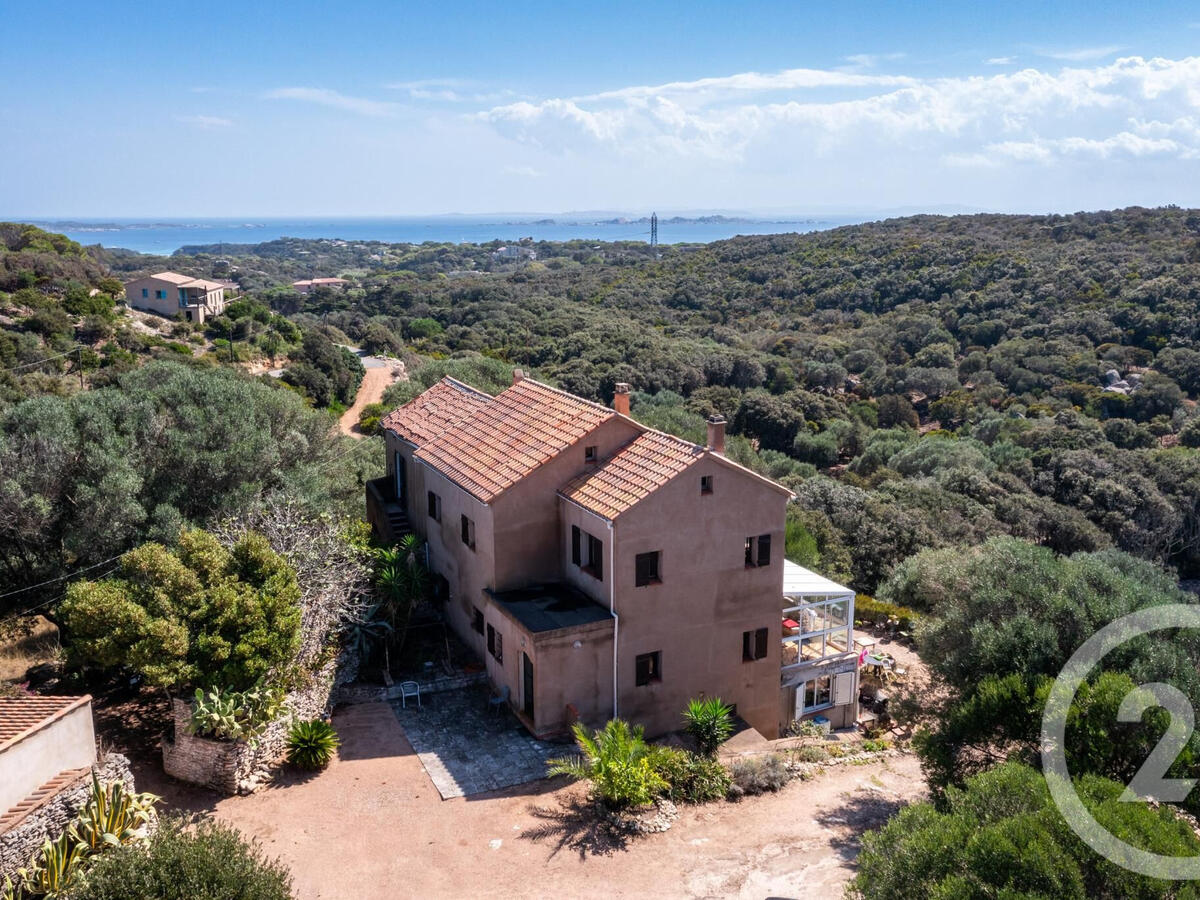 House Bonifacio