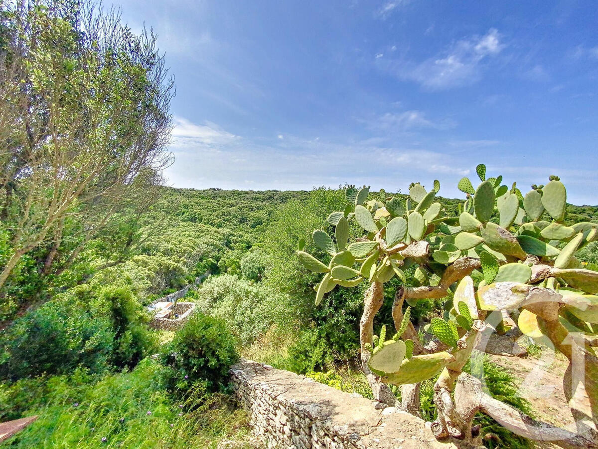 House Bonifacio