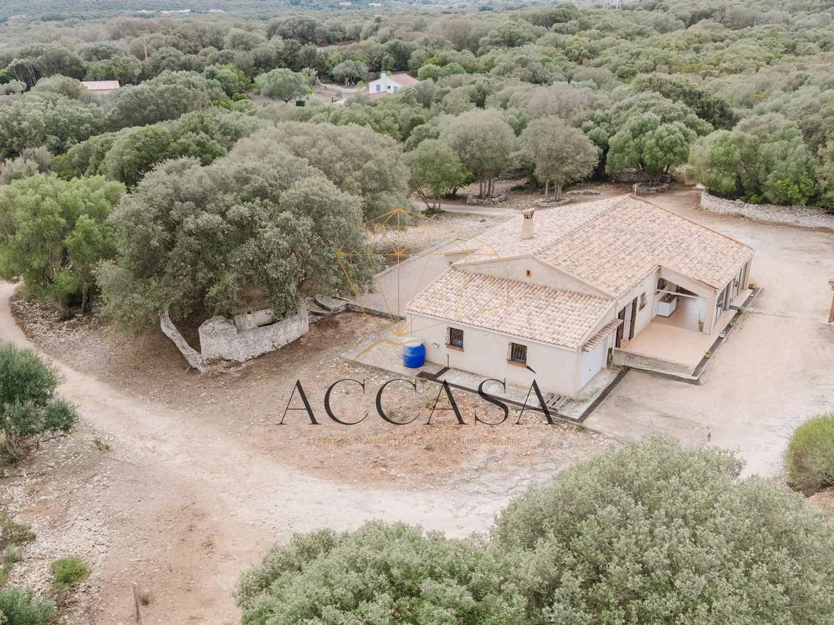 House Bonifacio