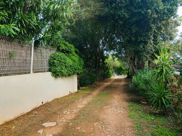 Maison Bonifacio - 3 chambres - 98m²