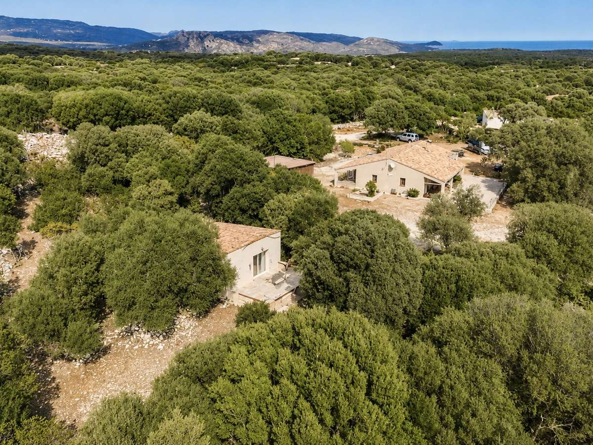Maison Bonifacio