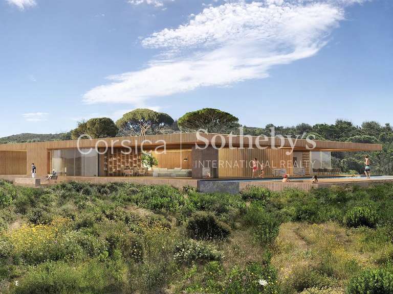 Terrain Bonifacio - 13200m²