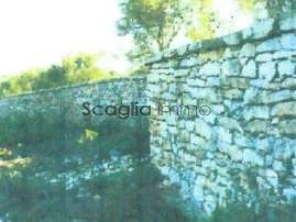 Terrain Bonifacio - 23600m²
