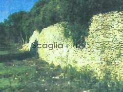 Terrain Bonifacio