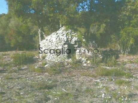 Terrain Bonifacio - 23600m²