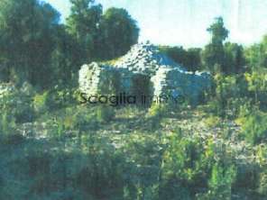 Terrain Bonifacio - 23600m²