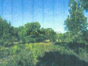 Terrain Bonifacio