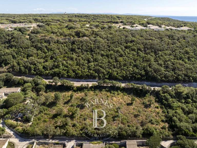 Terrain Bonifacio - 4322m²