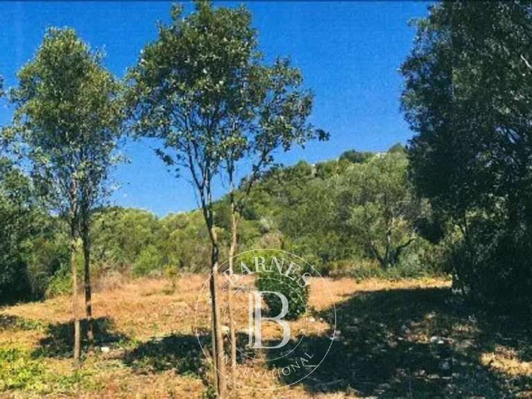 Terrain Bonifacio - 1390m²