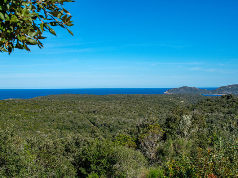 Villa avec Vue mer Bonifacio - 5 chambres
