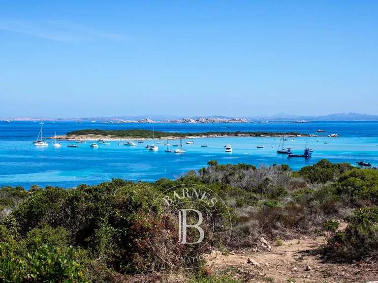 Villa Bonifacio - 6 chambres - 500m²