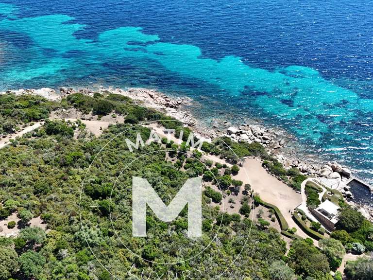 Villa avec Vue sur mer Bonifacio - 5 chambres - 30000m²