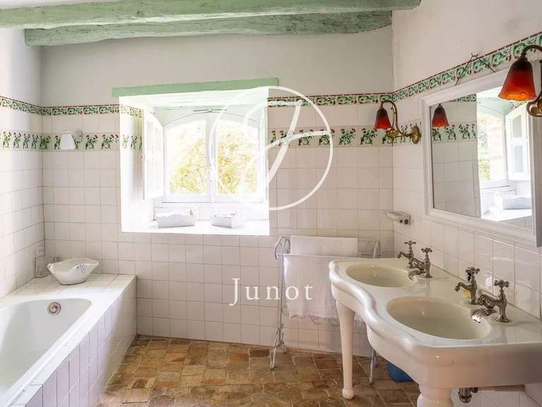 Château Bonneveau - 7 chambres - 400m²